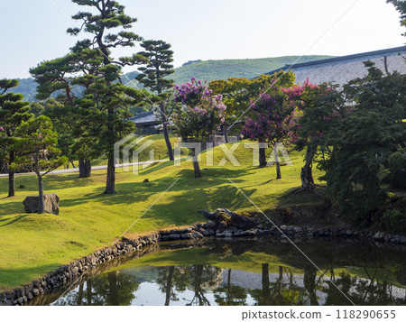Crape myrtle flowers blooming in midsummer in Nara Park 118290655