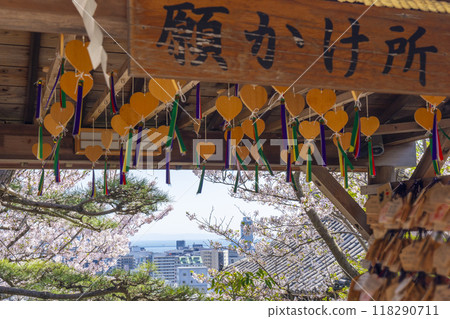 Spring in Kobe: Kitano Tenmangu Shrine - Cherry blossoms in full bloom and a place to make wishes 118290711