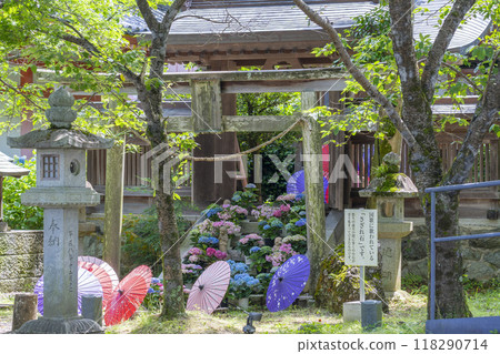 坪坂寺、龍藏宮、繡球花 坪坂寺、龍藏宮、繡球花 118290714