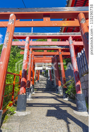 Nara, Chogosonshiji Temple, the approach lined with torii gates leading to the Gyojado Hall 118290738