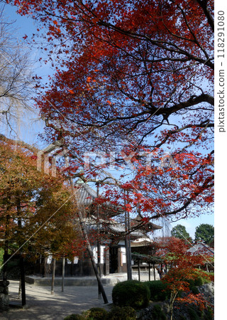秋葉@京都 / 秋葉盛開的京都古寺（西方吉峰寺） 118291080