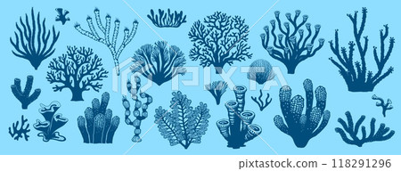 Sea coral reef and seaweed silhouettes. Underwater dark blue plants. Vector set of diverse marine life species found in reef ecosystems. Branching, leafy and fan-shaped corals, rich biodiversity weeds Sea coral reef and seaweed silhouettes. Underwater dark blue plants. Vector set of diverse marine life species found in reef ecosystems. Branching, leafy and fan-shaped corals, rich biodiversity weeds 118291296