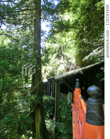 新橋和榛名神社的廊道（群馬縣高崎市） 118291680