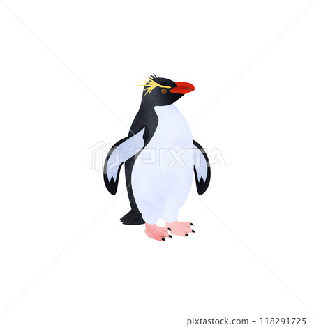 Southern Rockhopper penguin. Watercolor style illustration. 118291725