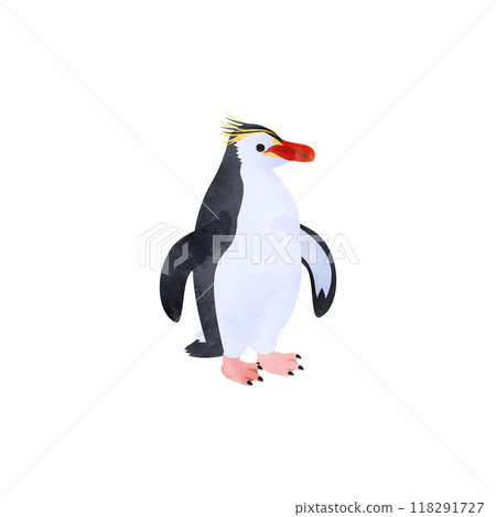皇家企鵝。水彩風格插圖。 皇家企鵝。水彩風格插圖。 118291727