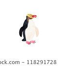 Yellow-eyed penguin (Spheniscus penguin). Watercolor illustration. 118291728