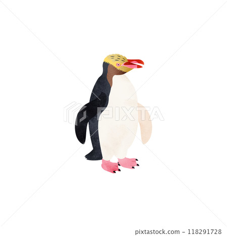 王企鵝(木頭企鵝)。水彩風格插圖。 王企鵝(木頭企鵝)。水彩風格插圖。 118291728