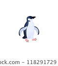 Little penguin (fairy penguin). Watercolor illustration. 118291729