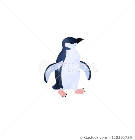 Little penguin (fairy penguin). Watercolor illustration. 118291729