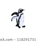 Magellanic penguin (Patagonia penguin). Watercolor style illustration. 118291731