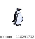 Humboldt penguin. Watercolor style illustration. 118291732