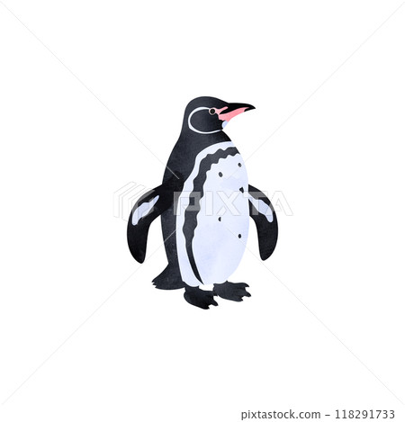 Galapagos penguins. Watercolor style illustration. 118291733