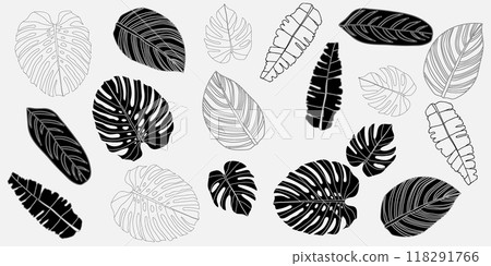 Chic black and white floral patterns with various flowers and leaves in a detailed, seamless design Chic black and white floral patterns with various flowers and leaves in a detailed, seamless design 118291766