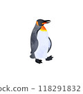 King penguin (Spheniscus penguin). Watercolor style illustration. 118291832