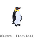 Emperor penguin. Watercolor illustration. 118291833
