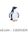 Adelie penguin. Watercolor style illustration. 118291834