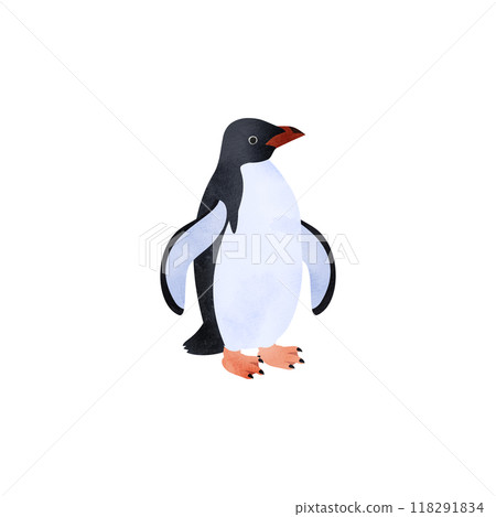 Adelie penguin. Watercolor style illustration. Adelie penguin. Watercolor style illustration. 118291834