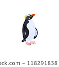 Fiordland penguin (Yellow-browed penguin, Victoria penguin). Watercolor illustration. 118291838