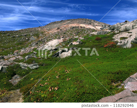 Nasu Chausu volcano and Japanese stone pine 118292046