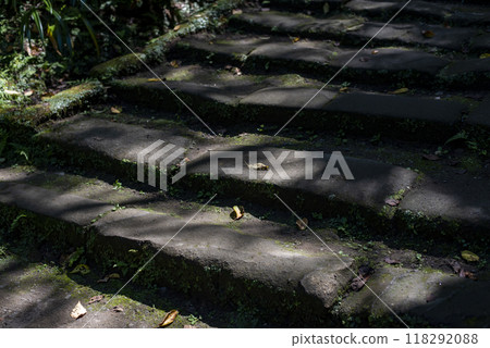 Kamakura 249 Jochiji Temple 17 Sunlight filtering through the trees Kamakura 249 Jochiji Temple 17 Sunlight filtering through the trees 118292088