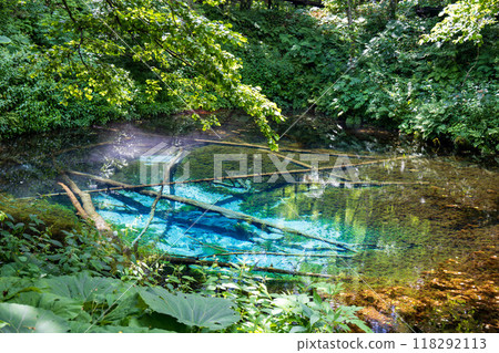 God's Pond 118292113