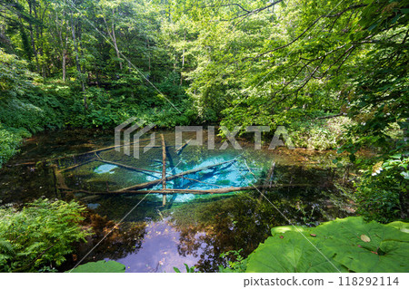 上帝的池塘 118292114