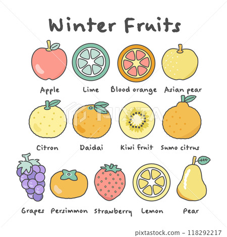 冬季水果水果插圖集 118292217