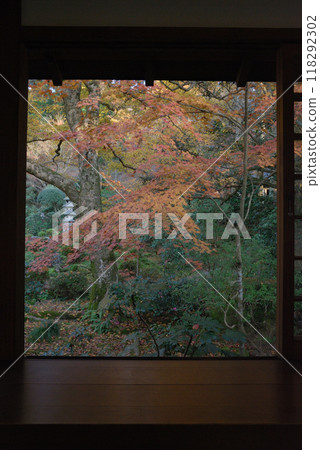 日本庭園的秋葉 / 從宅邸看到的日本庭園的秋葉 日本庭園的秋葉 / 從宅邸看到的日本庭園的秋葉 118292302