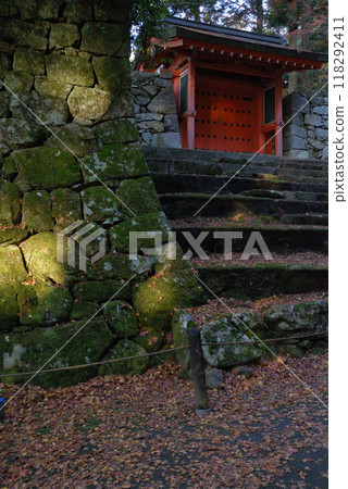 Japanese temple ~ vivid autumn leaves / Fallen leaves and stone steps @ Japanese garden 118292411