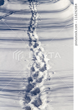 Footprints in the snow 118292864