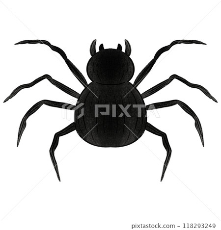 Hand drawn halloween spider Happy Halloween day set of elements Hand drawn halloween spider Happy Halloween day set of elements 118293249