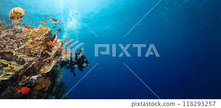 Scuba Diver Swimming in Deep Sea with Sunrays and Beautiful Coral Reef with Colorful Fishes 118293257
