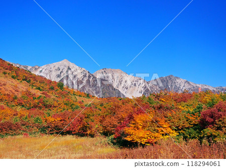 Autumn leaves at Kamoike Marsh, Happo-one Autumn leaves at Kamoike Marsh, Happo-one 118294061