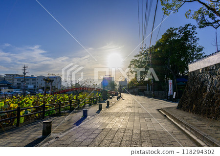 沐浴在夜色中的周邊景色 葵麻生神社（國寶） 人吉市 118294302