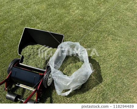 Grass cut with a manual lawnmower Grass cut with a manual lawnmower 118294489