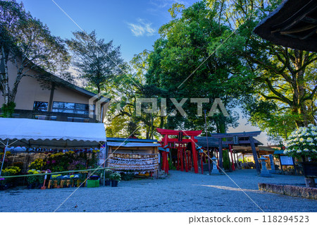 沐浴在夜光中的神社庭院和菊花祭的風景 葵阿蘇神社（國寶） 人吉市 118294523