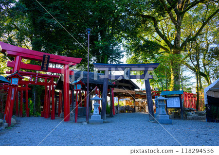 The torii gates of Inari Shrine and Kogo Shrine, lit up by the light of the evening twilight, Aoi Aso Shrine (national treasure), Hitoyoshi City The torii gates of Inari Shrine and Kogo Shrine, lit up by the light of the evening twilight, Aoi Aso Shrine (national treasure), Hitoyoshi City 118294536