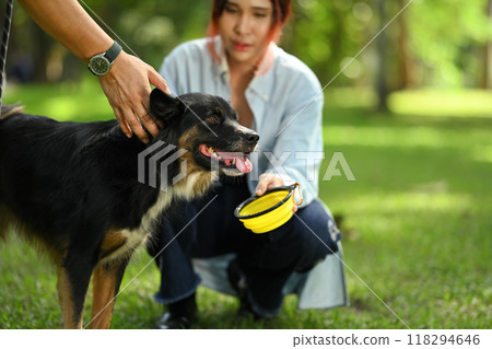 Shot of young woman giving water to her cute Border Collie dog in the park 118294646
