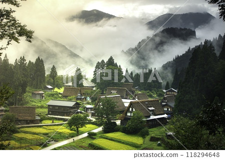 Farm village wrapped in fog 118294648