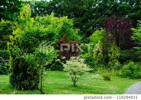 Hokkaido Tokachi Hills 118294831