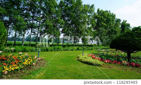 Hokkaido Purple Bamboo Garden Hokkaido Purple Bamboo Garden 118295485