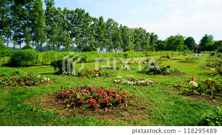 北海道紫竹園 118295489