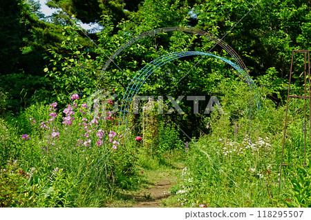 Hokkaido Purple Bamboo Garden Hokkaido Purple Bamboo Garden 118295507