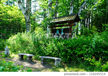 Hokkaido Purple Bamboo Garden Hokkaido Purple Bamboo Garden 118295514