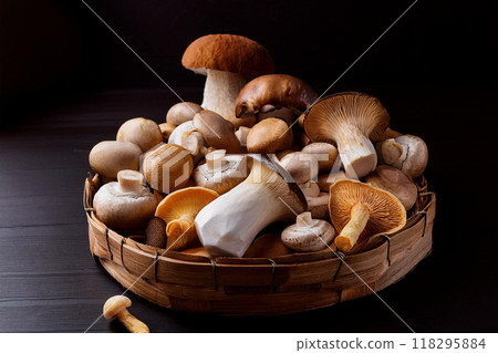 蘑菇採集 蘑菇採集 118295884