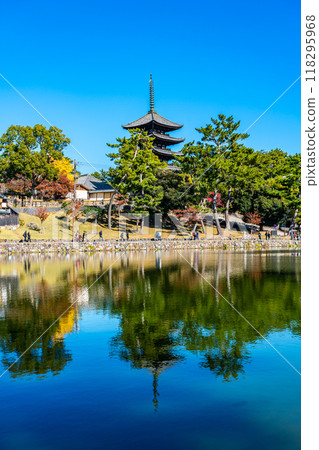 【奈良縣】猿澤池和興福寺，藍天清爽 118295968