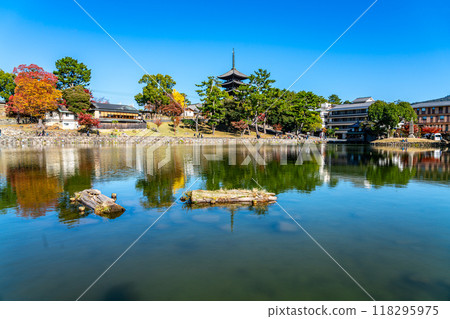 [Nara Prefecture] Sarusawa Pond and Kofukuji Temple under a refreshing blue sky 118295975