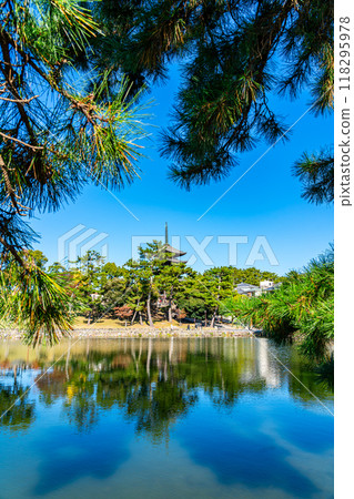 [Nara Prefecture] Sarusawa Pond and Kofukuji Temple under a refreshing blue sky 118295978