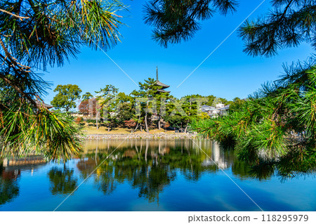 【奈良縣】猿澤池和興福寺,藍天清爽 【奈良縣】猿澤池和興福寺,藍天清爽 118295979