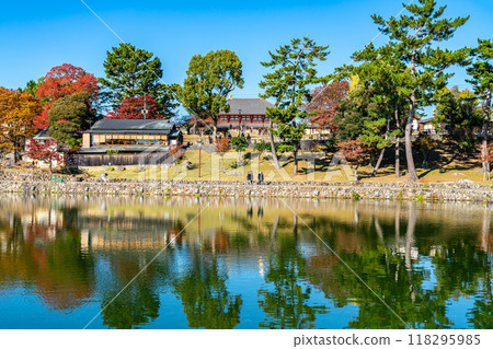 [Nara Prefecture] Sarusawa Pond and Kofukuji Temple under a refreshing blue sky 118295985
